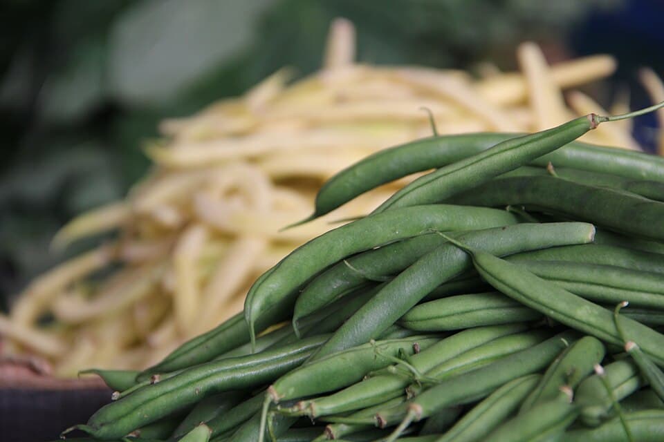 Bean
