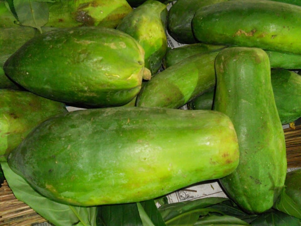 Papaya